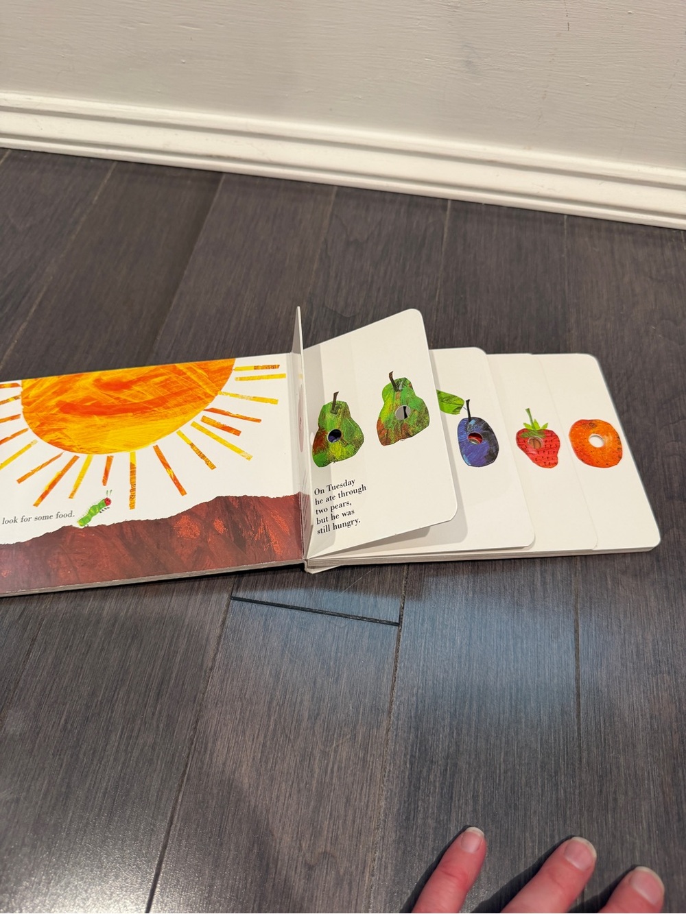 The Very Hungry Caterpillar Board Book - Green/Red by Eric Carle Kids Toddler - Picture 5 of 5